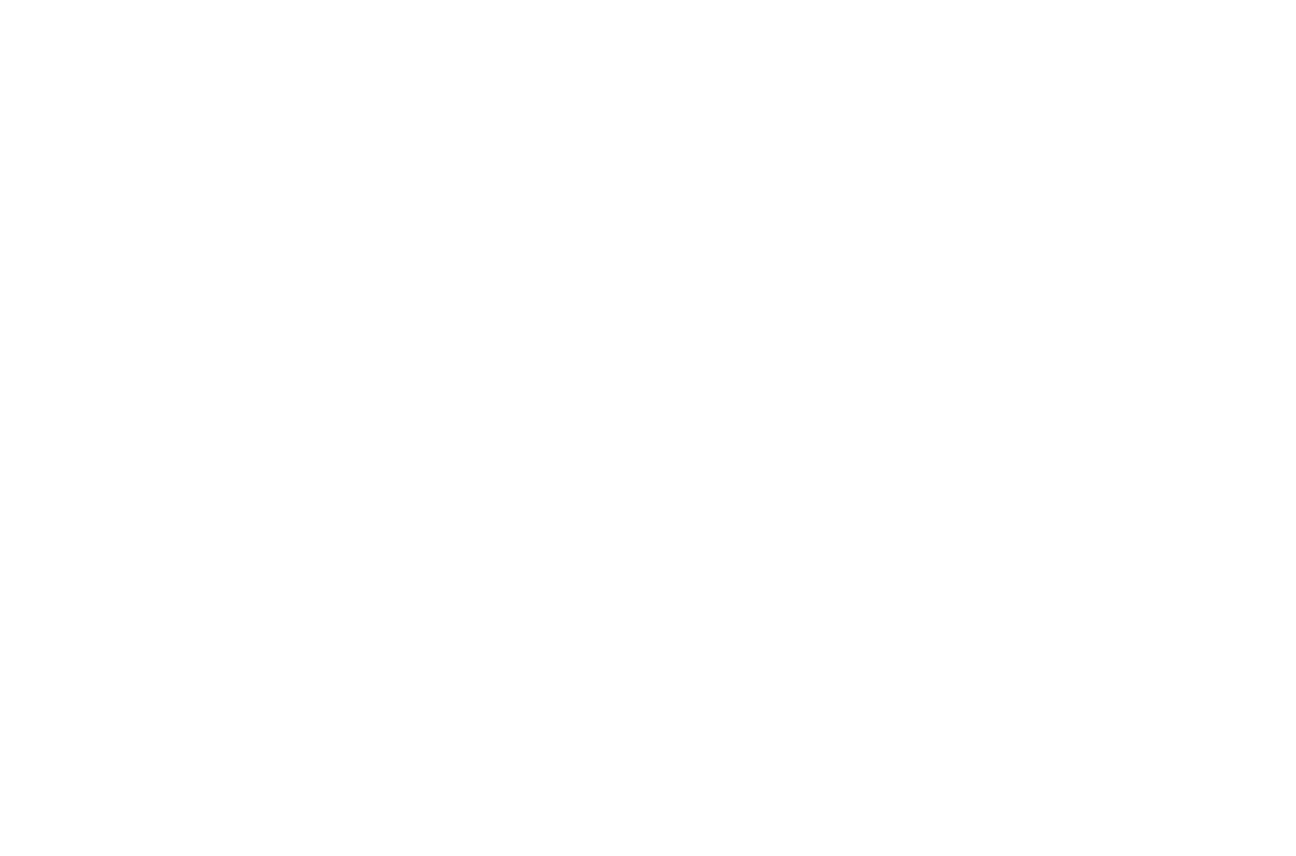 The SIPP